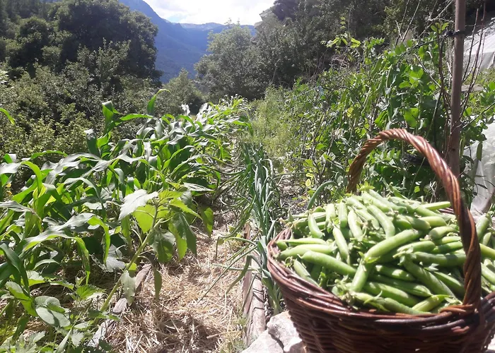 Guest house D'etape Et De Sejour De Meolans-Revel